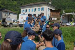 CampoScuolaFeltre_fAndreon
