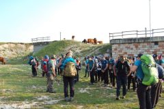 2025_Campo-Bassano-giorno-13-04