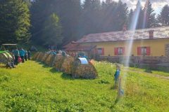 2025_Campo-Irma_044