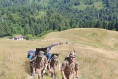 2025_Campo-Scuola-Feltre-cima-campo-1-standard