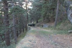 1_CS26_Pinerolo_272