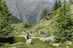 CS26_Pinerolo_333