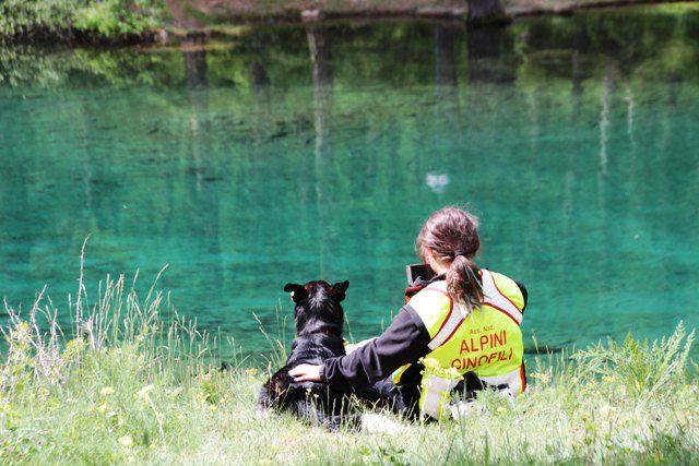 Unità Cinofile di Soccorso (repertorio – Esercitazione Val di Rhemes).