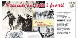 LIBRO-MULI-GAZZ-PUBBLICITA
