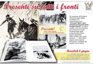 LIBRO-MULI-GAZZ-PUBBLICITA