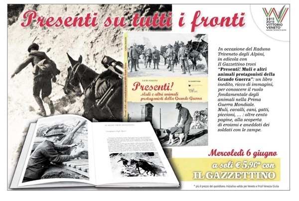 LIBRO-MULI-GAZZ-PUBBLICITA LIBRO-MULI-GAZZ-PUBBLICITA