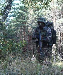 cambrian_alpini1
