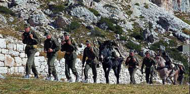 muli_Afghanistan