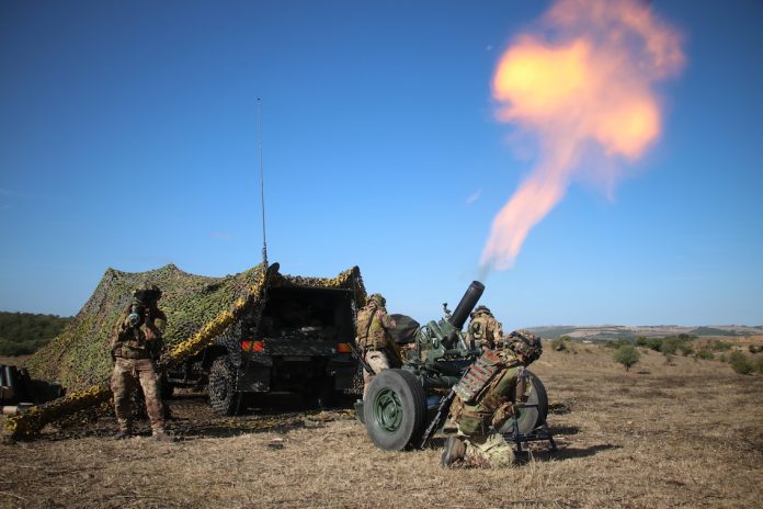 1 - Ex LARAN 19 - Plotone mortai del 3ø rgt alpini