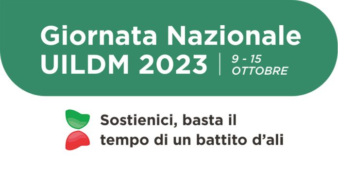 GN_UILDM23